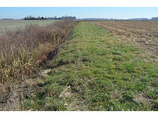 Tracts 4 & 5 - FARMLAND AUCTION - 165.5+/- ACRES OFFERED IN 5 TRACTS OR COMBINATIONS IN EAST ALLEN COUNTY